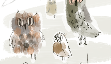 Totally Owlsome!